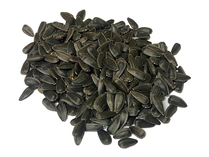 Yağlık Ayçekirdeği